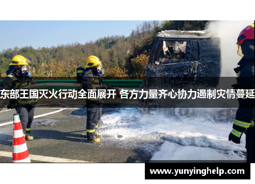 东部王国灭火行动全面展开 各方力量齐心协力遏制灾情蔓延
