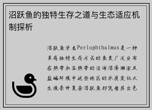沼跃鱼的独特生存之道与生态适应机制探析